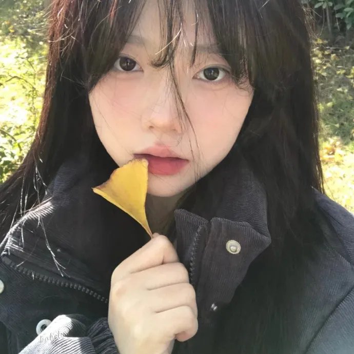 迷蝶
