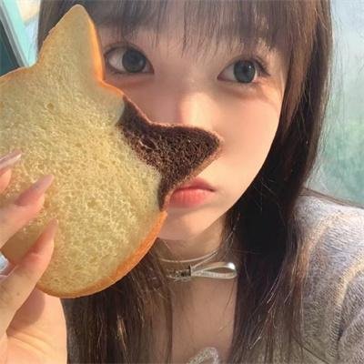 与鲨鱼游弋